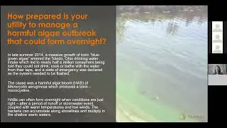 Webinar Recording: Management of Harmful Algae Blooms for Drinking Water Treatment