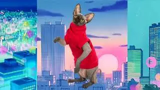 Фьюче-Фанк Сфинкс