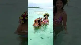 Greeted by ocean kisses from our stingray pals #frenchpolynesia #traveltheworld #travelfamily