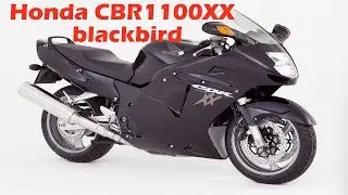 We give a blackbird!!! Review of the Honda CBR1100XX blackbird.
