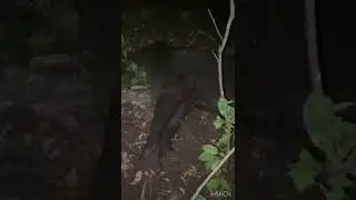 Обновил новый арбалет!