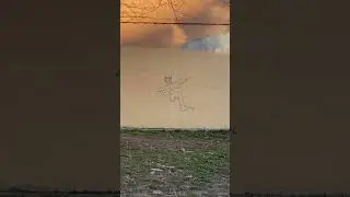 Лучшее граффити Питера 