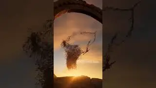 Unreal Engine 5 Cinematic, Niagara 