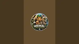 Animal universe  is live!