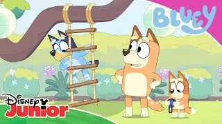 💙 Hinderbana | Bluey | Disney Junior Sverige