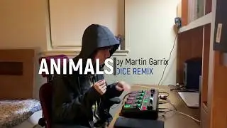 DICE - Martin Garrix "Animals" remix (DROPS!) // Loopstation Beatbox