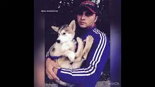 Alaskan Malamute Rada