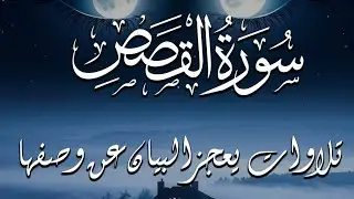 لايفوتك سماعها | سورة القصص تلاوة رهيبة تقشعر لها الابدان