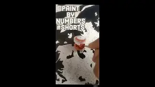 Satisfying Paint by Numbers Progress #Shorts