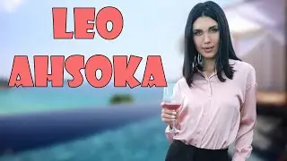 LEO AHSOKA | The STAR who started in 2022 with more than 1 thousand fans on Twitter