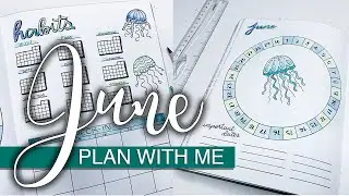 June 2019 🐙 Bullet Journal Plan With Me | Instagram Decides My Theme