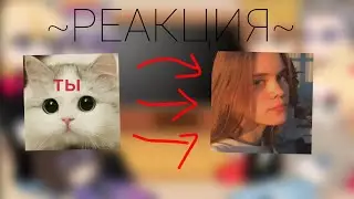 Реакция Смешариков на Т/и как ???{эх, захотелось}/Gacha club/~Elll