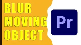 How to Blur Objects in Premiere Pro?