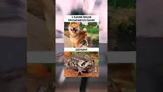 #юмор