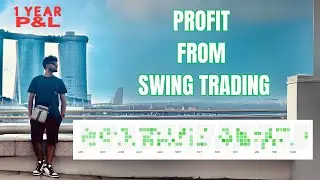 My One Year Swing Trading  Profit - All Days Green