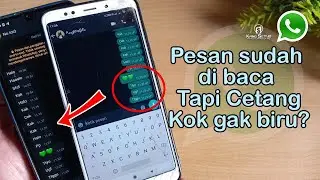 Cara Agar Tidak Centang Biru di Wa