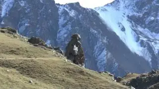 В Высоцкий - 