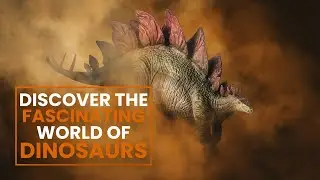 Discover the Fascinating World of Dinosaurs | A Journey Through the Mesozoic Era