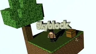 Skyblock Experience