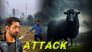 Attack 😳 During Cricket Match ☕️ Coffee at Raj Bagh Kashmir @Tufail_Wani