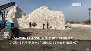 В Казахстане собирают хлопок для «Тиротекса»