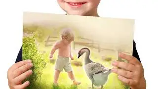 Алешкины зори