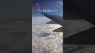#love #loveintheair #plane #intheair #fly #flying #pesawatterbang