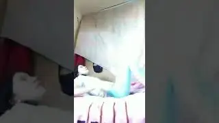 PRANK_WIK-WIK KE ISTRI