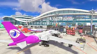 Marlin Airport First Impressions