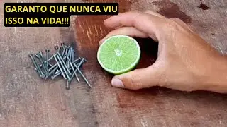 USE 10 PREGOS E UMA BANDA DE LIMÃO PARA AS GALINHAS (O resultado é inacreditável)