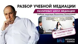 Разбор медиации Валентины Лепешкиной (Единый центр медиации г. Москва).