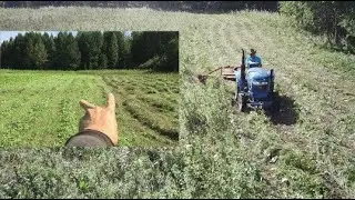 Mow or Mow (DEVELOPING FIELDS)