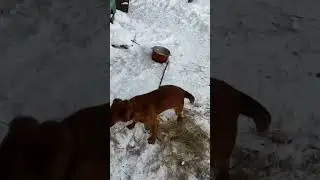 Жизнь в деревне.Глубинка.Работа в деревне.