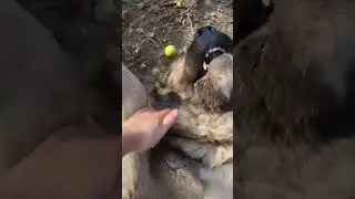 КАК МОЖНО ПРОЙТИ МИМО ТАКОГО МИЛАША?!