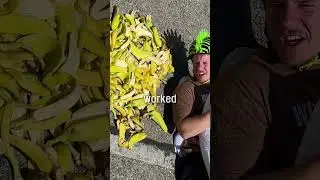 Are Banana Peels Actually Slippery?