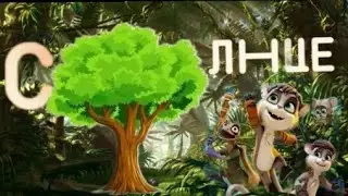 ПРЕМЬЕРА! "ДЕРЕВО ЖЕЛАНИЙ" НА ТЕЛЕКАНАЛЕ "СОЛНЦЕ"!