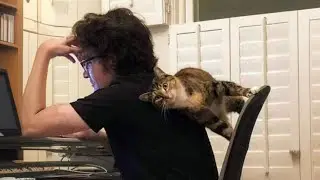 I Have A Best Friend Called Cat 🤣 Cat and Human Moments