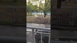 Волшебное рядом...