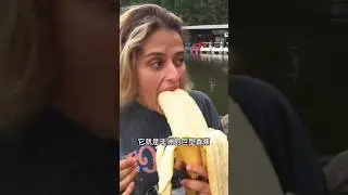 दुनिया का सबसे बड़ा केला 🍌      
