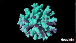 Coral Growth | Houdini 17
