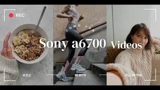 Como puedo ver los archivos de la Sony a6700