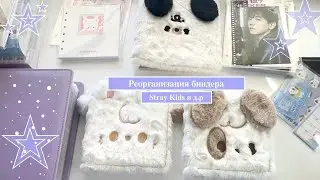 ☁️✨Реорганизация биндера✨☁️