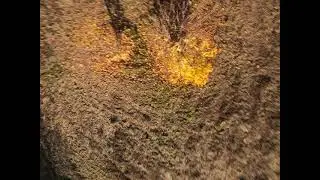 FPV TRAINING