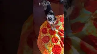 Who Has The Best Woven Pizza??