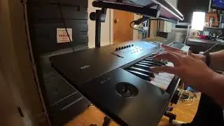 Rose of Sharyn (full) on a Keyboard