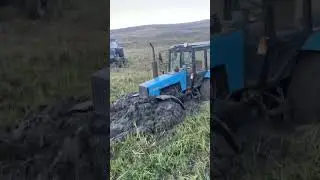 Трактор Беларусь