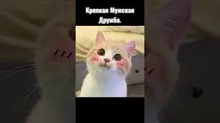 КРЕПКАЯ МУЖСКАЯ ДРУЖБА В CS 2 