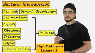 Structures Present in Bacteria And their Functions | Prokaryotes |