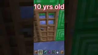 Houses at different ages (worlds smallest violin) #minecraft #minecraft #worldssmallestviolin