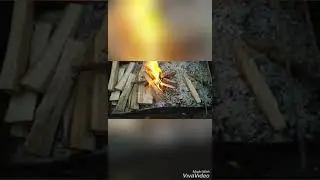 Mangalda toyuq qizartmasi